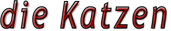 Die Katzen